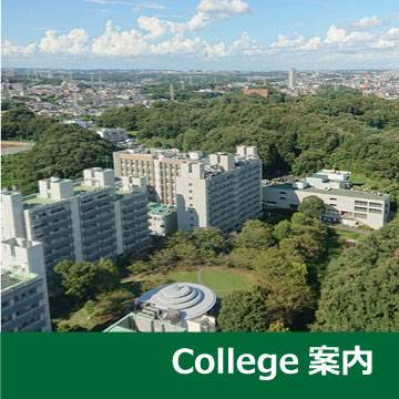 btn_01
